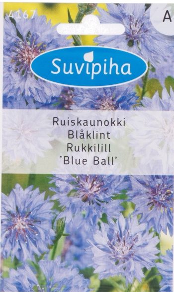 rukkilill blue ball