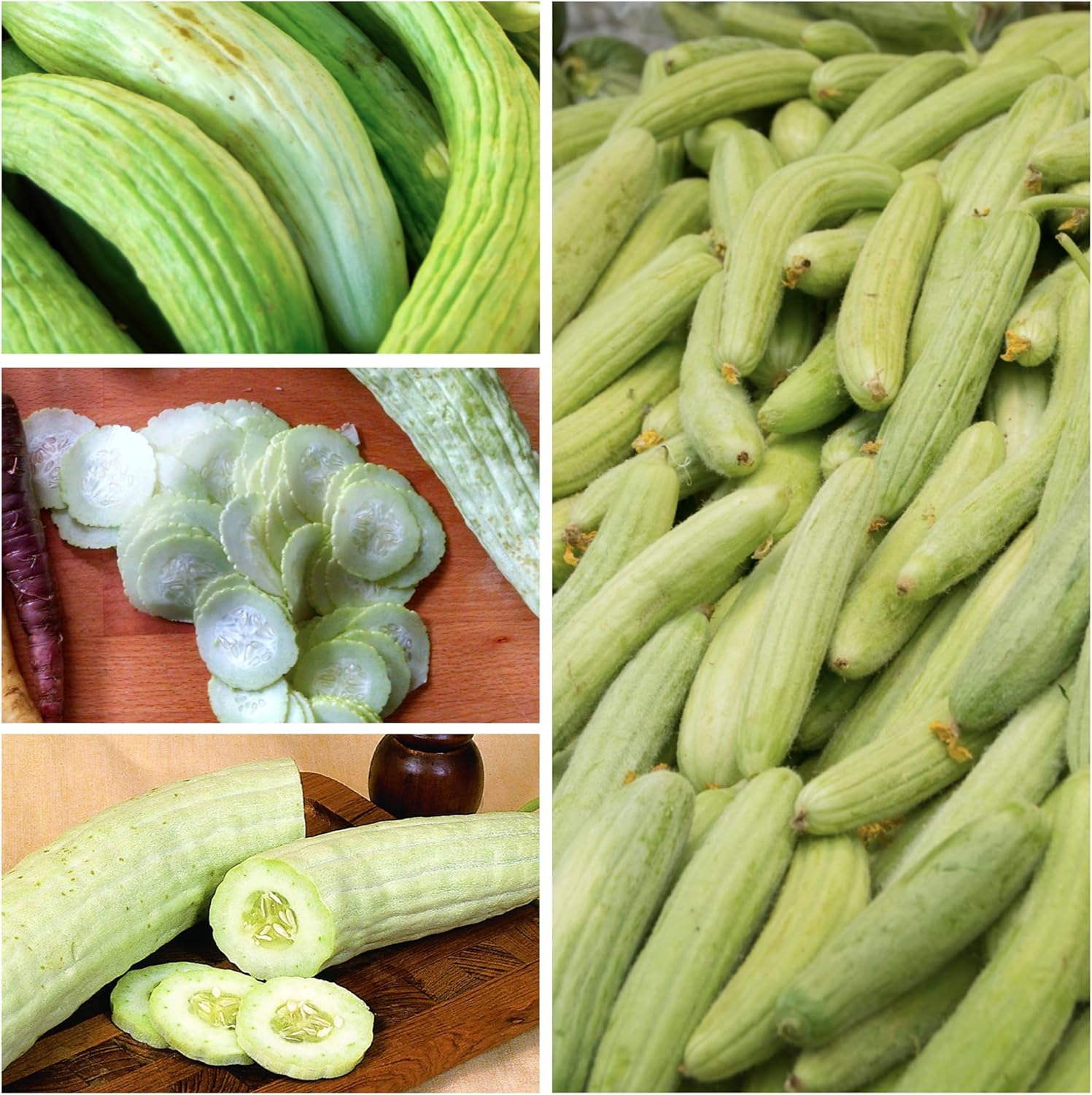 30 Armenian Cucumber Khakri Metki Seeds - Yard Long Snake Melon Cucumis Melo - Pale Variety