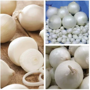 Tippsibul SNOWBALL 0,5kg