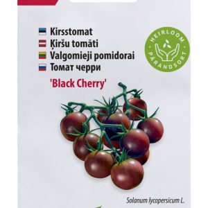 Kirsstomat BLACK CHERRY 10tk